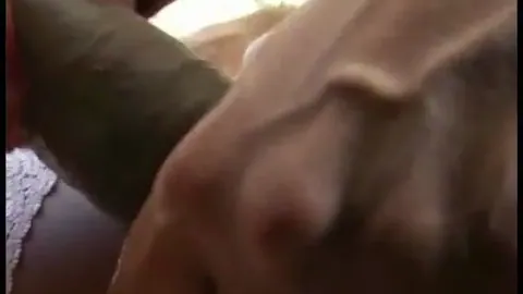 Schwäche für bunte Vögel