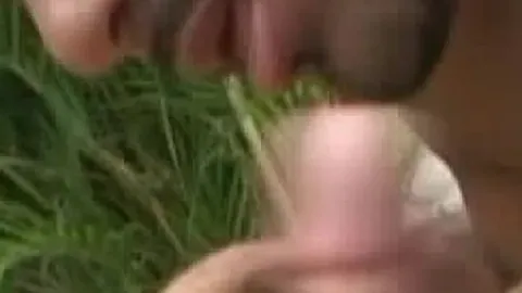 Outdoor Shemale Sex